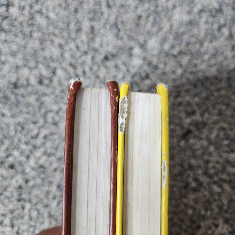Diary Of A Wimpy Kid Lot Of 2 Dog Days The Third‎ Wheel Children